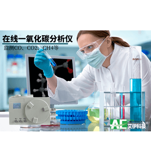 一氧化碳在線監(jiān)測系統